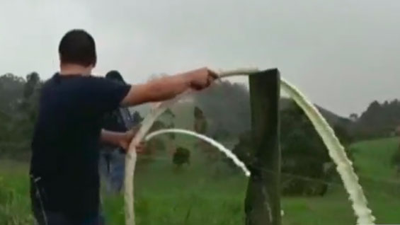Polémica por 43.000 litros de leche que fueron botados en Los ... - Noticias RCN
