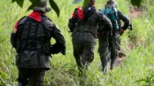 Holandeses secuestrados buscaban a madre de joven colombiana adoptada en su país Holandeses secuestrados buscaban a madre de joven colombiana adoptada en su país