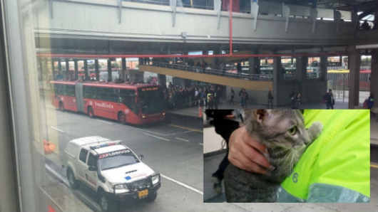 Descartan artefacto explosivo en Portal Américas de Transmilenio — COLOMBIA